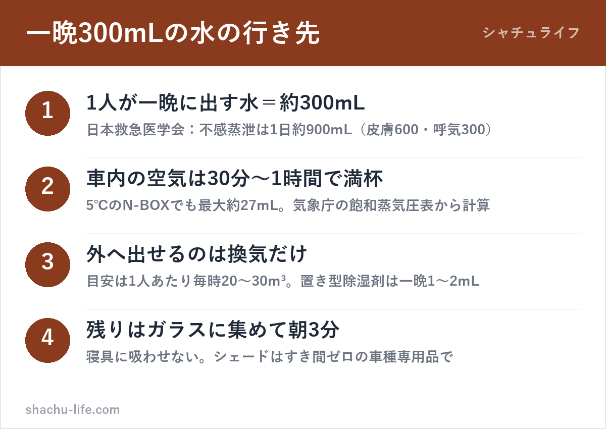 車中泊で1人が一晩に出す水約300mLの行き先と、結露対策の優先順位の図解